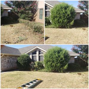 David Helms Services