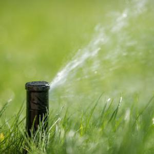 Landscaping services yuma