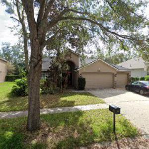 RootForce Tree & Land Service