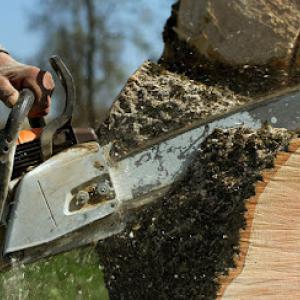 Windsor & Son Tree Care Services