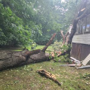 Appleton Emergency Tree Service
