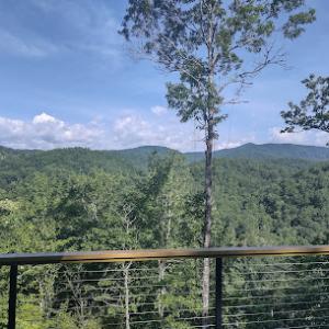 Sky's the limit tree service