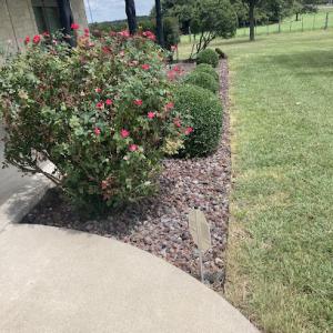 Superior Lawn Services