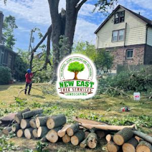 New East Tree Services & Landscaping