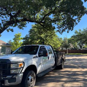 Alvarado Tree Service