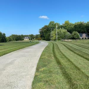 AR Tree Service & Lawncare