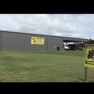 Bear's Insured Tree Service