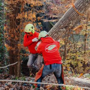 Northside Tree Professionals