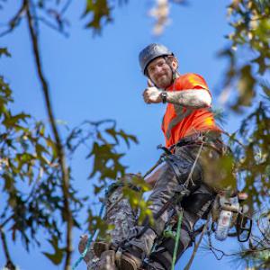 Connelly Tree Company