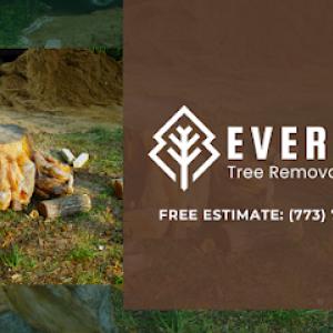EverSol Tree Removal Service