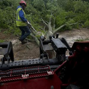 Wiseman Tree Service