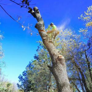 Mountain Air Land Management