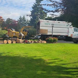 Ivan's Tree Removal Services