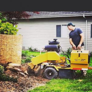 Jr Stump Grinding