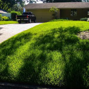 Kyle Fox's Pro Cut Lawn Care Service