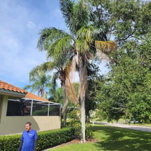 Elevation Environmental Services