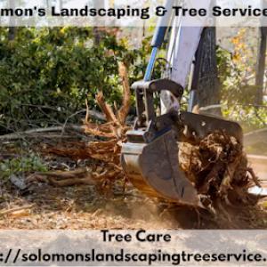 Solomon's Landscaping & Tree Service
