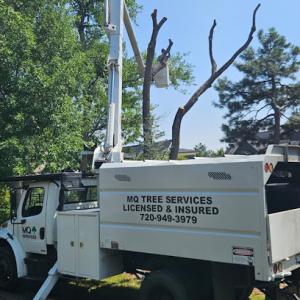 MQ Landscaping & Tree Services