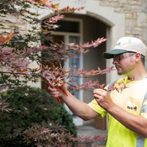 The Davey Tree Expert Company