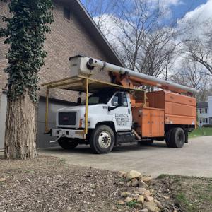 Dominic’s Tree Service