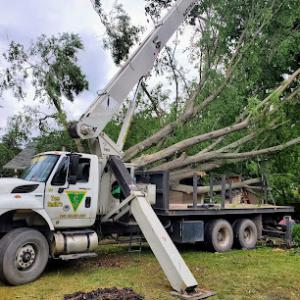 Smith's Tree Service