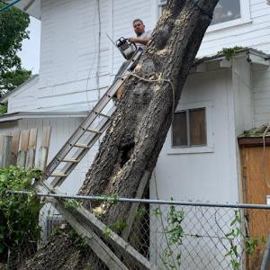 Roberts Tree Service
