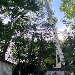 A&S Tree Service,Llc