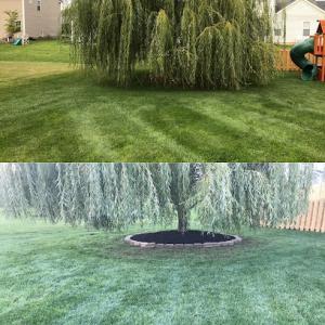 Grass Is Greener Landscaping