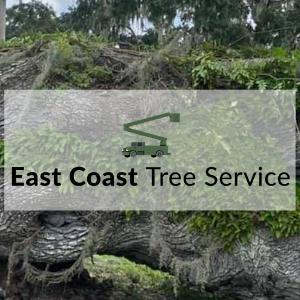 Ace Tree Service