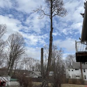 Gerard’s Tree Service