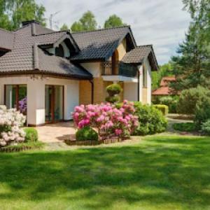 Scientific Plant Service