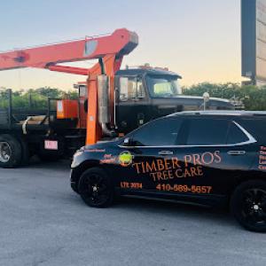 Timber Pros Tree Care