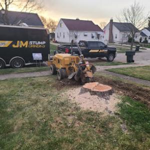 J&M Stump Grinding