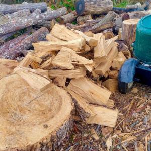 Underwood Family Tree Service