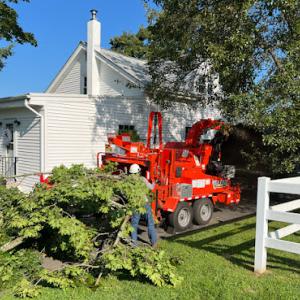 Lumberjacks Tree Service