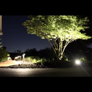 PTB Landscape Management