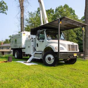 DS Tree Service & Landscaping