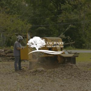 Zachary Tree Service