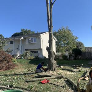 Maria's Home Improvements