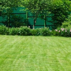 Martin Foster's Lawn Care