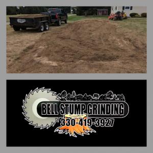 Bell Stump Grinding