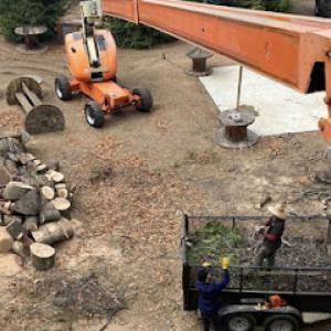 Efrain Tree Services