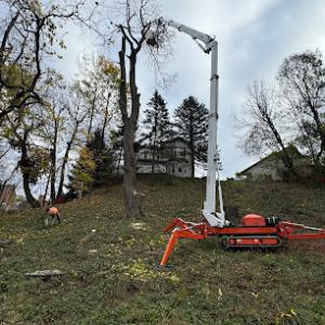 Hudson & Son's Tree Service