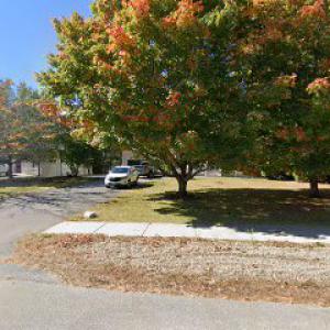 Southern NH Tree & Landscape