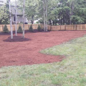 Landlord, LLC Landscaping & Tree Service