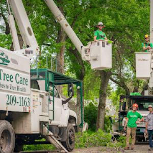 Gallatin Tree Care