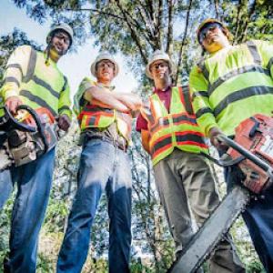 Shaver Tree Services