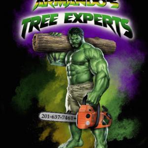 Armando's Tree Experts Llp