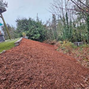 Francisco Landscaping