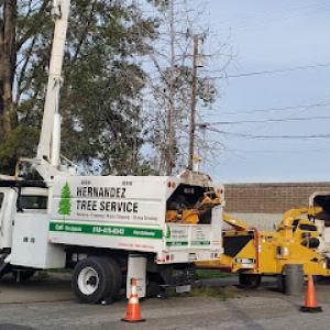 Hernandez Tree Service